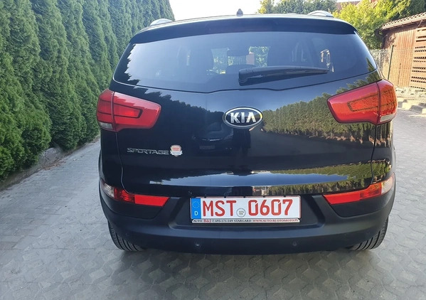 Kia Sportage cena 55950 przebieg: 58920, rok produkcji 2014 z Kędzierzyn-Koźle małe 562